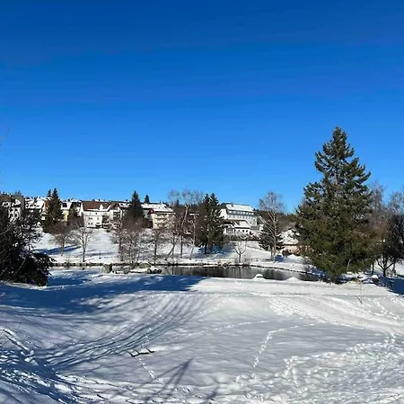 Schoene Maisonette-ferienwohnung Fuer 2-5 Personen Schoenwald im Schwarzwald