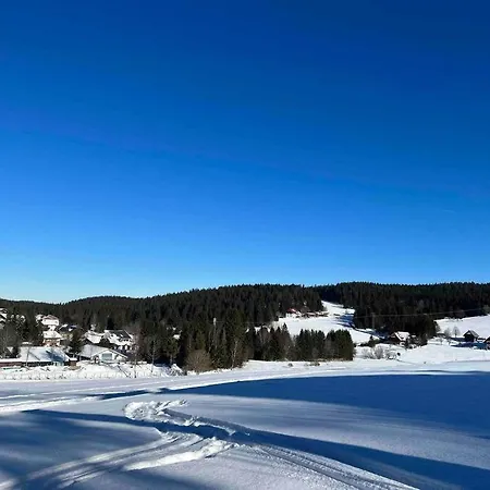 Διαμέρισμα Schoene Maisonette-ferienwohnung Fuer 2-5 Personen - Mit Pool Schönwalde